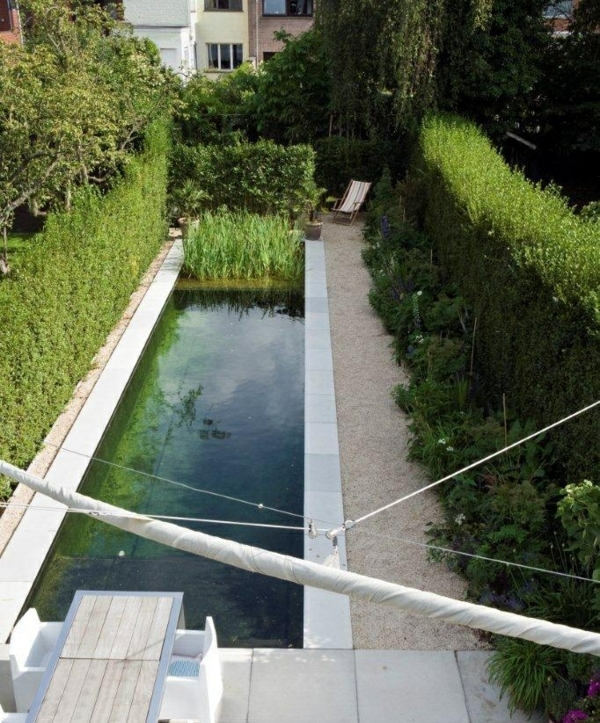 jardin-piscine-naturelle-plantes-aquatiques piscine naturelle dans le jardin