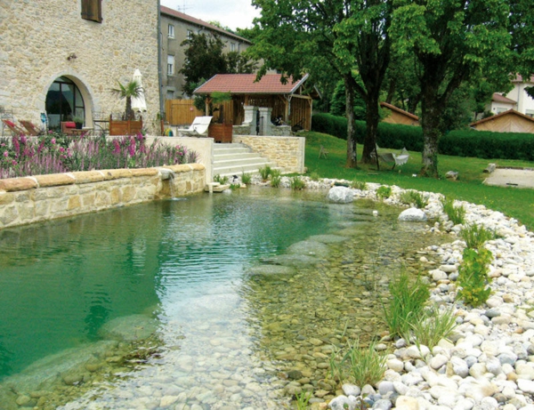 jardin-piscine-naturelle-plantes-bassin-natation