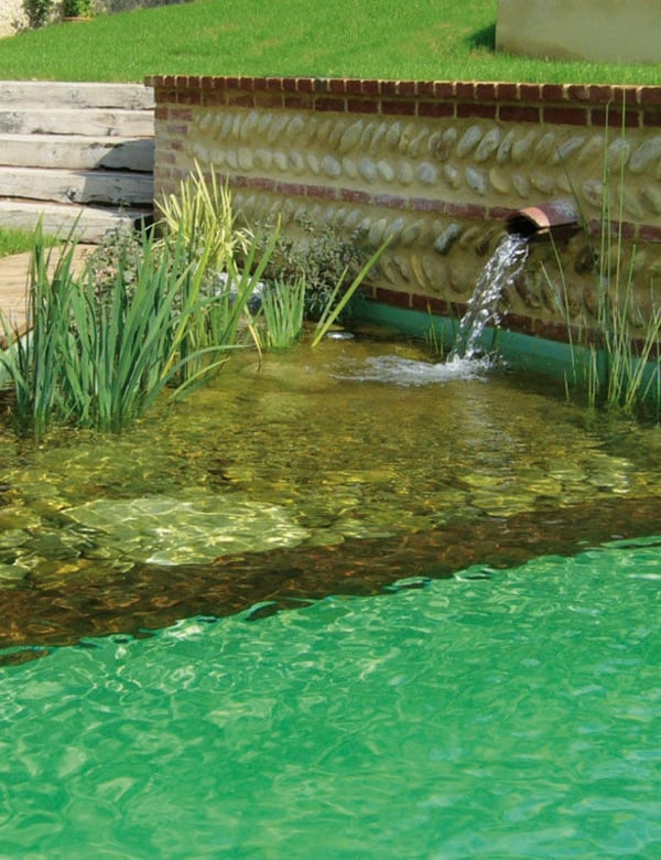 jardin-piscine-naturelle-plantes-bassin piscine naturelle dans le jardin