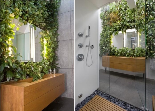 jardin-vertical-salle-bains-plantes plantes dans la salle de bains