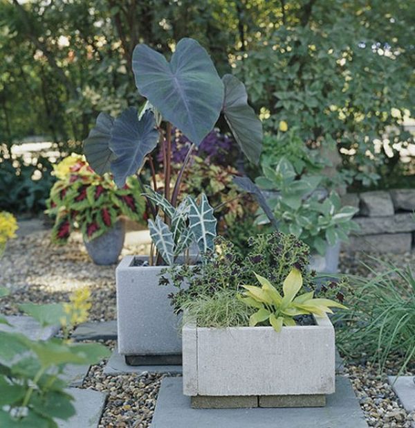 jardinières-pavés-béton-plantes-extérieur projets pour l'extérieur DIY