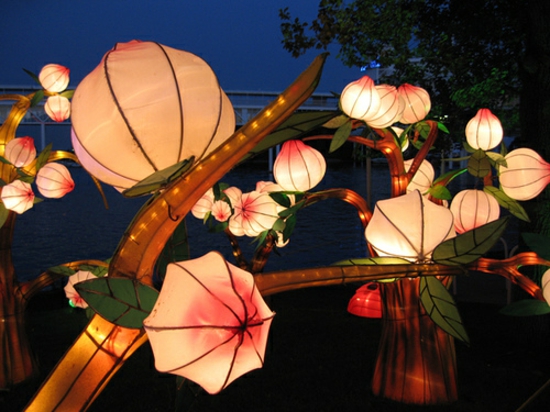 lanterne-papier-fleurs-japonais-délicat-déco-branche