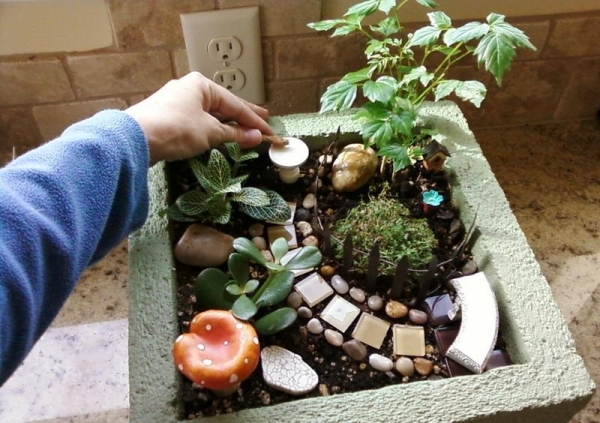 mini jardin décoratif-galets-plantes-pot-béton
