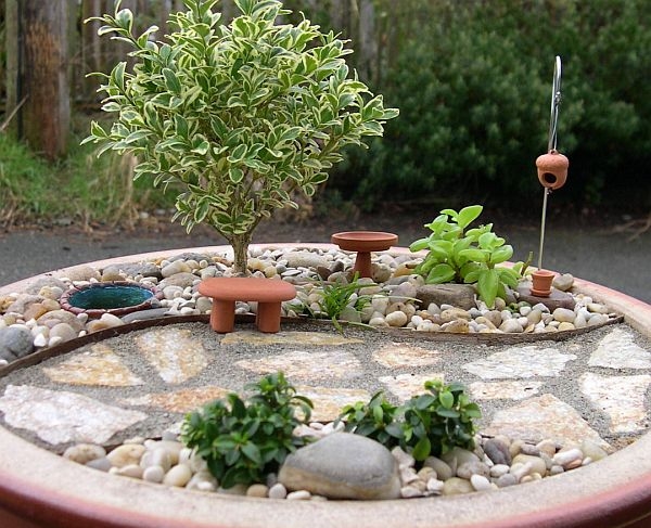 mini-jardin-décoratif-petites-plantes