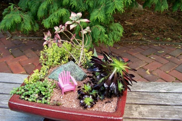 mini jardin décoratif-pièrres-plantes