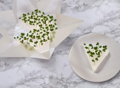 mini-jardin-décoratif-plantes-à-la-maison