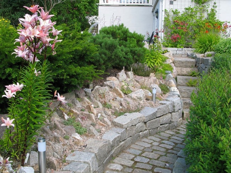 mur de soutènement -pierre-naturelle-arbustes-fleurs-allee-paves