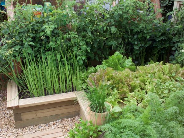 mur-soutènement-bas-bois-potager