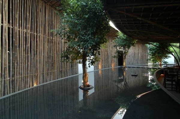 palissade-jardin-bambous-arbres-design-unique