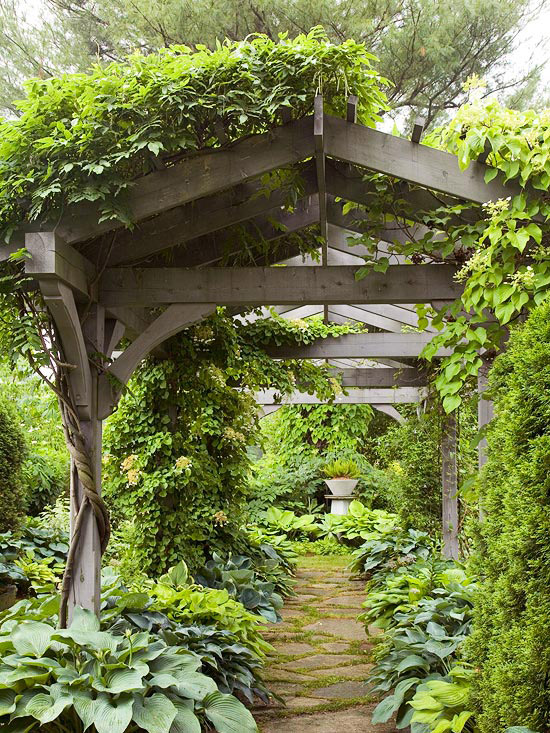 pergola-bois-brut-plantes-grimpantes-allée-jardin