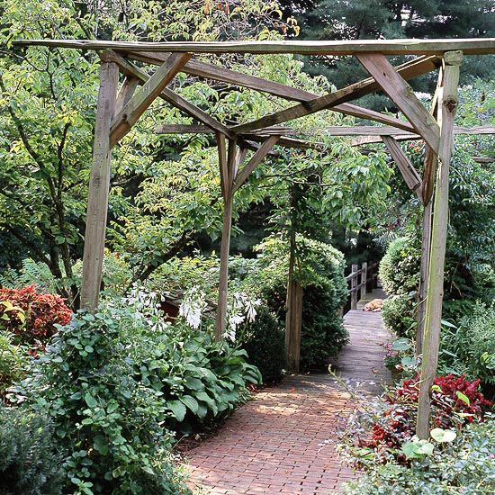 pergola-bois-brut-style-rustique-allée-jardin