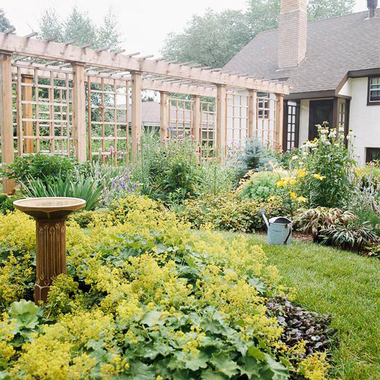 pergola-jardin-allée-centrale-plantes-vertes-maison