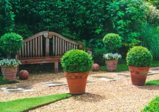 aménager le petit jardin petit-jardin-déco-banc-bois-plantes-vertes