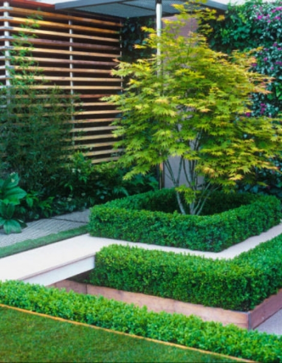 aménager le petit jardin petit-jardin-idée-décoration-composition-plantes
