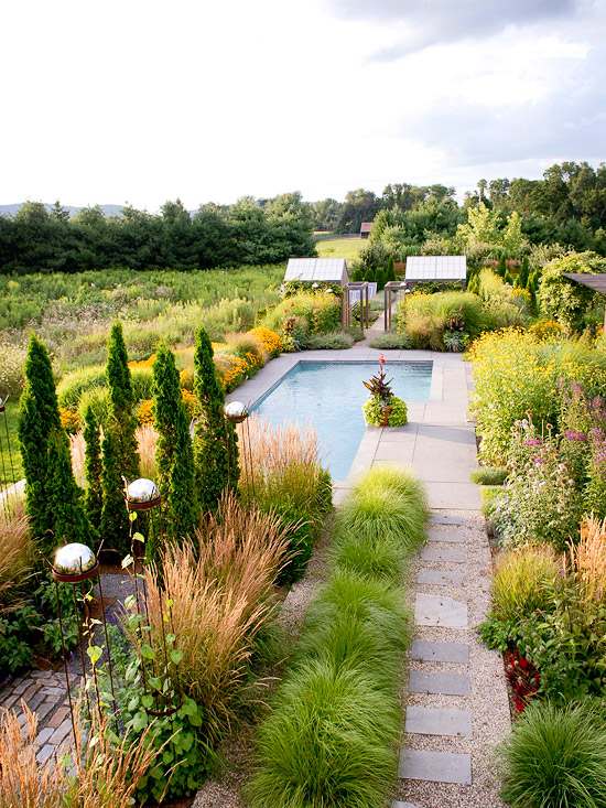 piscine de jardin enterrée plantes-luxuraiantes-herbes-ornementales