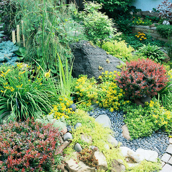 plantes-idees-design-creation-jardin-de-rocaille