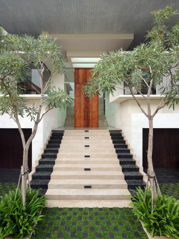 plantes de jardin arbres-décoratifs-escalier-blanc-noir