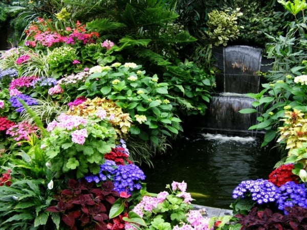 plantes-luxuriantes-fleurs-jardin-bassin-cascades