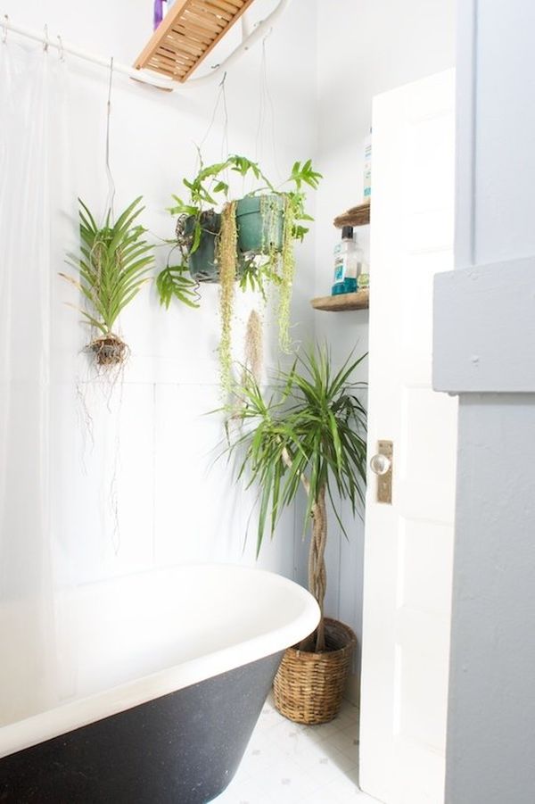 plantes-suspendues-salle-bains plantes dans la salle de bains
