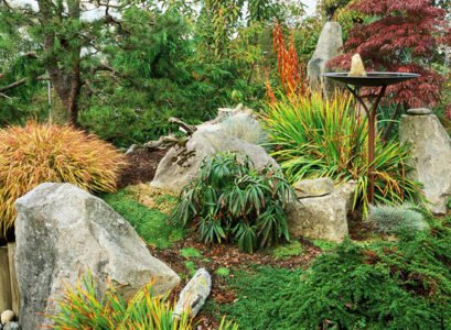 plantes-vivaces-creation-jardin-de-rocaille