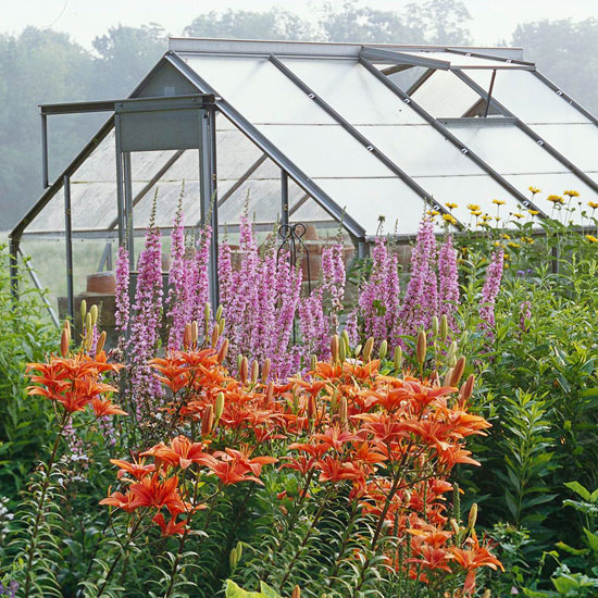 serre de jardin maisonnette-traditionnelle-verre-ventilation-toit