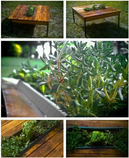 table de jardin en palettes bois-poncé-verni-plantes-incorporées