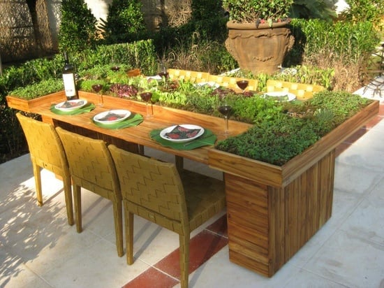 table-jardin-recyclée-plantes-luxuriantes-jardinières