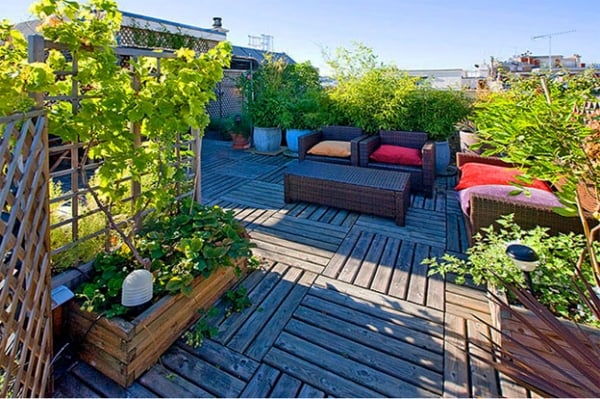 terrasse-sur-toit-moderne-plantes-grimpantes