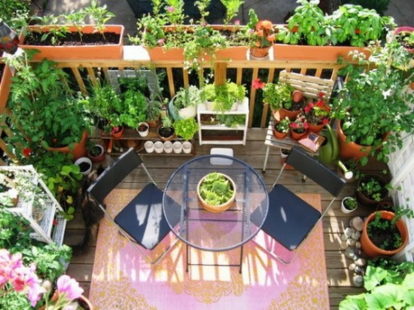 toile-intimité-naturelle-balcon-rambarde-porte-jardinières-fleurs