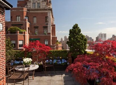 toit-terrasse-arbres-plantes
