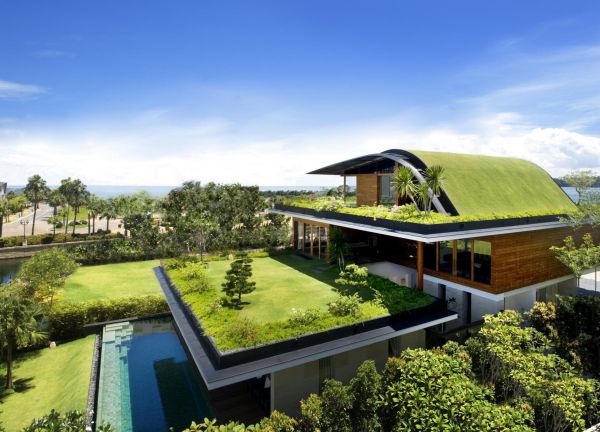 toiture-végétalisée-herbe-forme-originale-maison-moderne