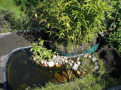 étang-pierres-de-la-rivière-herbes