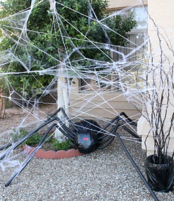 bricolage d'Halloween facile araignée-toile-jardin