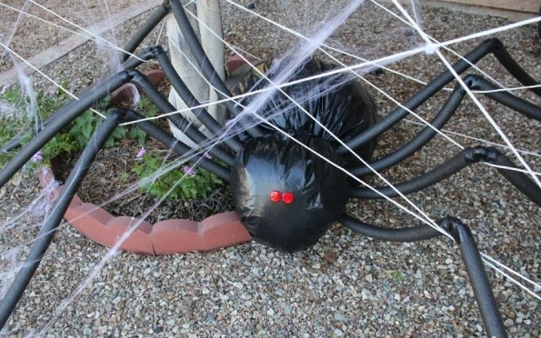 Bricolage d'Halloween facile araignée-géante-jardin