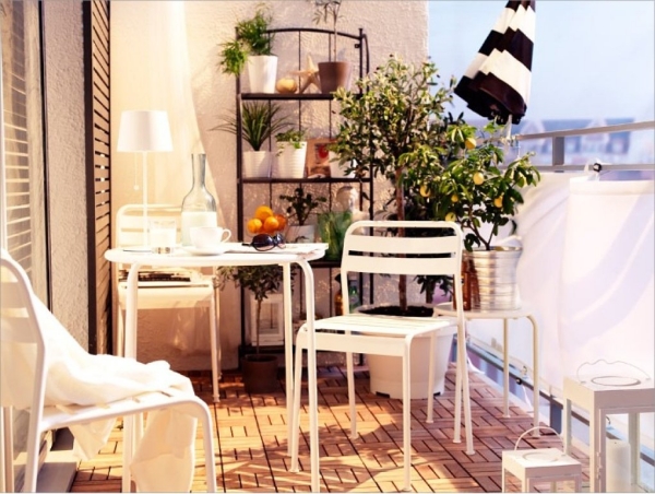 abri-balcon-étagère-pots-plantes-toile-citronnier-parasol
