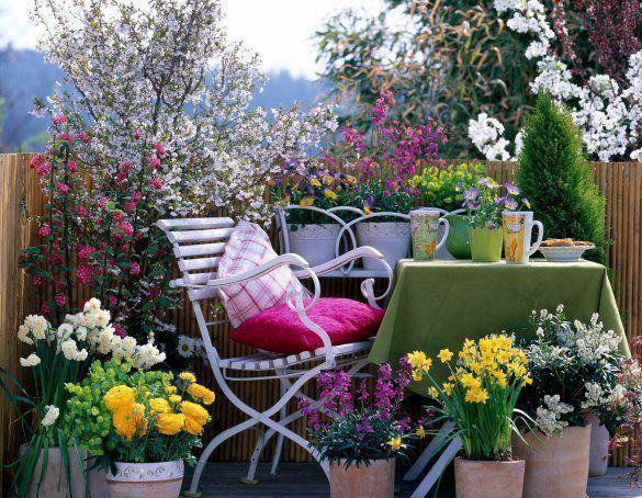 abri-balcon-palissade-bois-plantes-vertes-fleurs