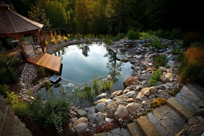agrandissement-visuel-jardin-niveau-eau-étang-pierres Agrandissement visuel du jardin