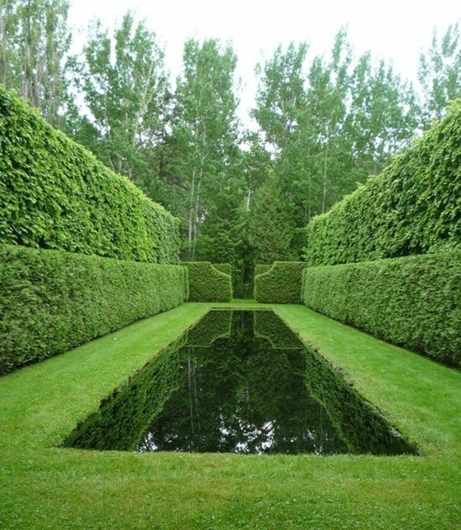 agrandissement-visuel-jardin-niveau-eau-arbustes Agrandissement visuel du jardin