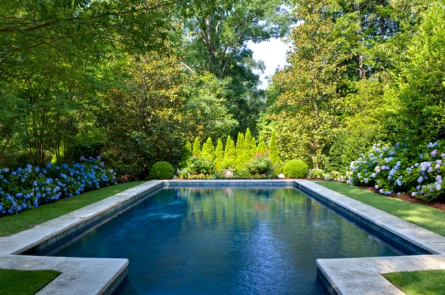 agrandissement-visuel-jardin-niveau-eau-piscine-plantes-réflexion