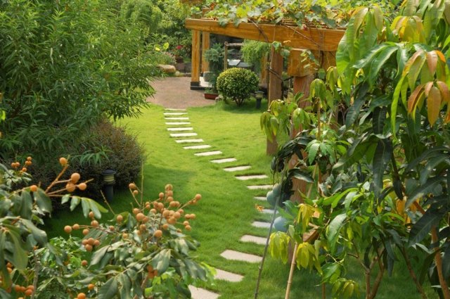 Design du jardin moderne réussi 35 alternatives du classique Jardin De Allee désign
