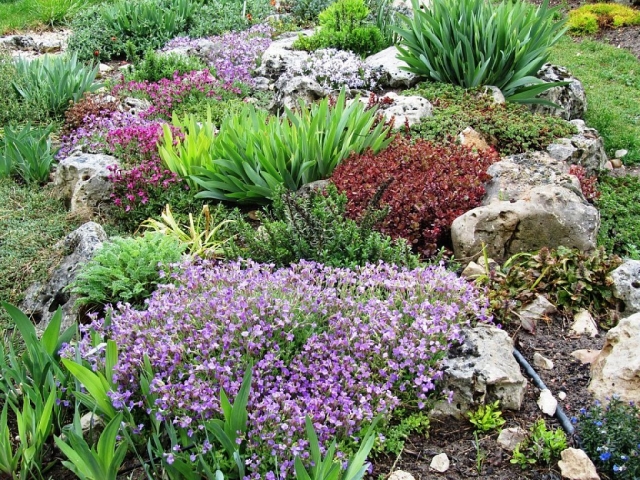 71 idées et astuces pour créer votre propre jardin de rocaille