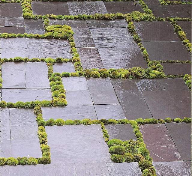 Aménagement paysager moderne: 104 idées de jardin design Amenagement jardin 100m2