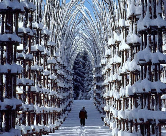 aménagement-de-jardin-couloir-Mauri