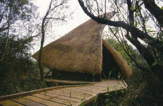 aménagement-de-jardin-maison-forme-toit-forme-géometrique