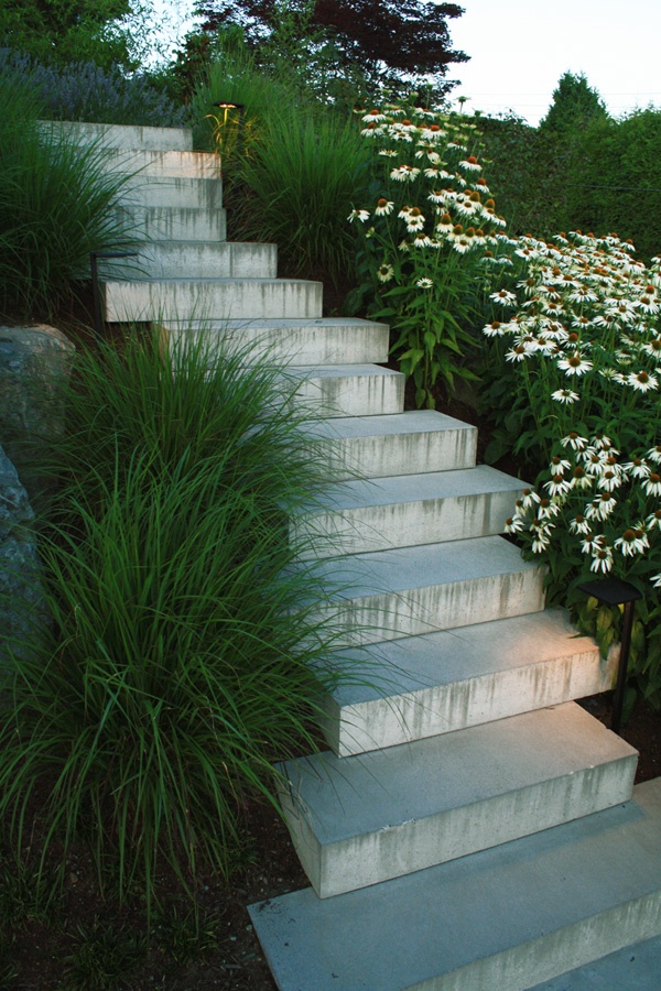 aménagement-extérieur-pâquerette-escalier-béton-jardin-sur-pente