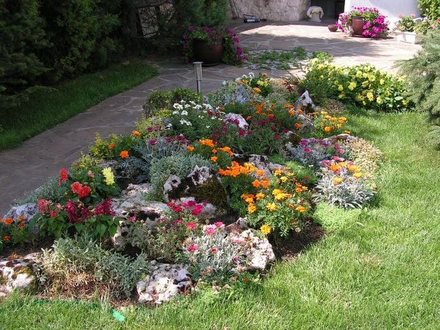aménagement jardin de rocaille fleurs-couleurs-vives