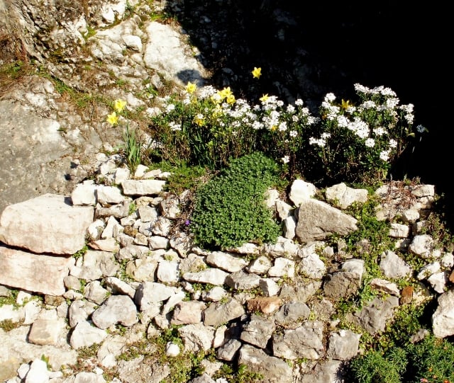 aménagement jardin de rocaille grandes-pierres-fleurs