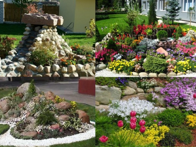 aménagement jardin de rocaille idées-plantes-couleurs-vives