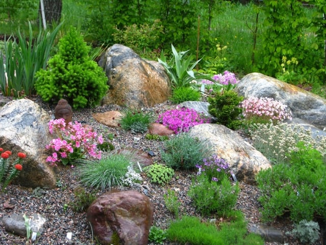 aménagement jardin de rocaille végétation-pierres