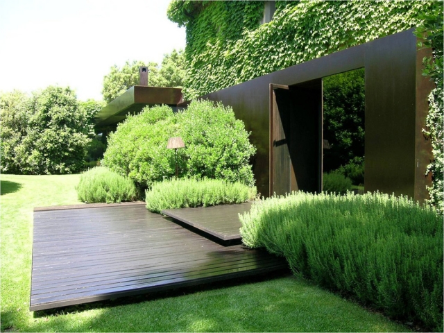 aménagement paysager moderne terrasse-bois-plantes-lierre-façade